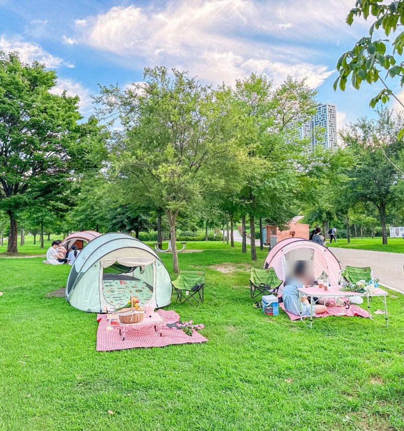 한강에서 피크닉