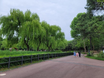 용산가족공원 산책로